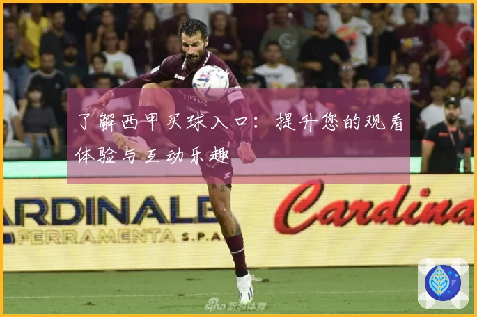 了解西甲买球入口:提升您的观看体验与互动乐趣