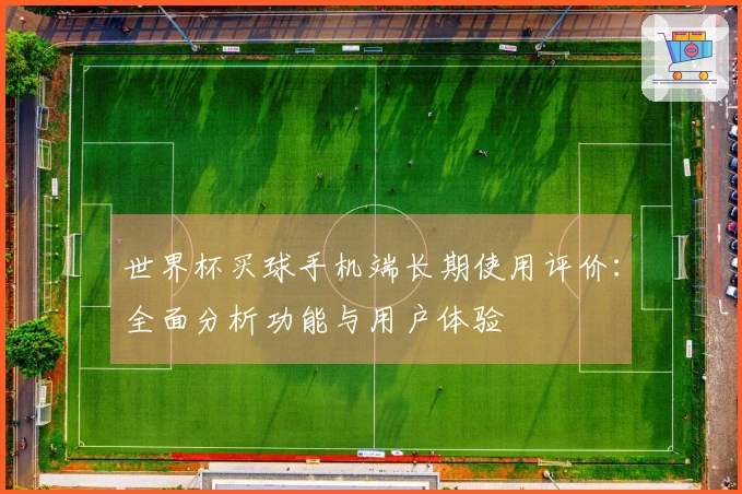 世界杯买球手机端长期使用评价：全面分析功能与用户体验