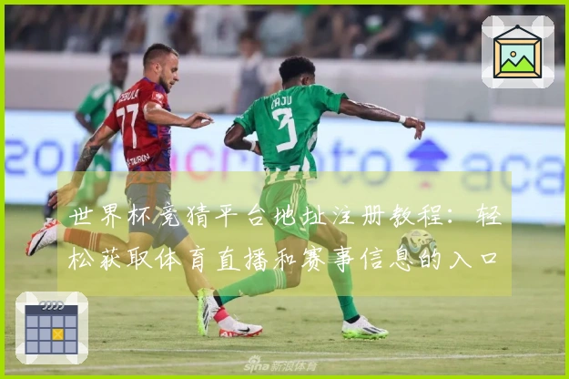 世界杯竞猜平台地址注册教程：轻松获取体育直播和赛事信息的入口指南