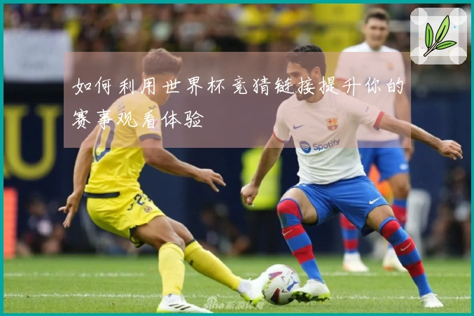 如何利用世界杯竞猜链接提升你的赛事观看体验