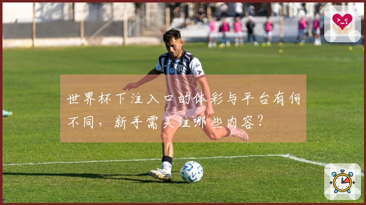世界杯下注入口的体彩与平台有何不同,新手需关注哪些内容?