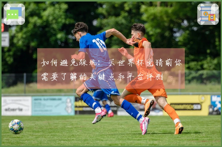 如何避免踩坑：买世界杯竞猜前你需要了解的关键点和平台评测