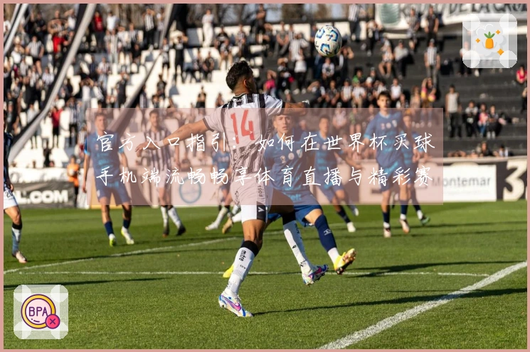 官方入口指引：如何在世界杯买球手机端流畅畅享体育直播与精彩赛事