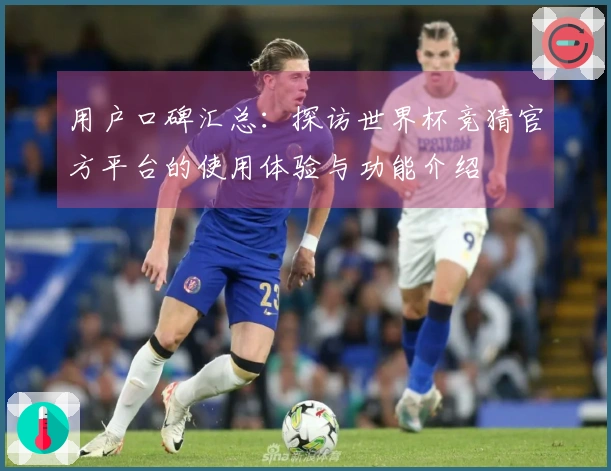 用户口碑汇总：探访世界杯竞猜官方平台的使用体验与功能介绍
