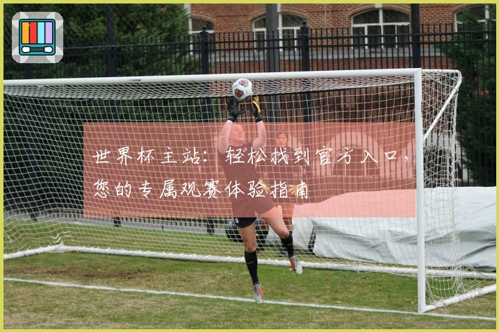 世界杯主站：轻松找到官方入口，您的专属观赛体验指南