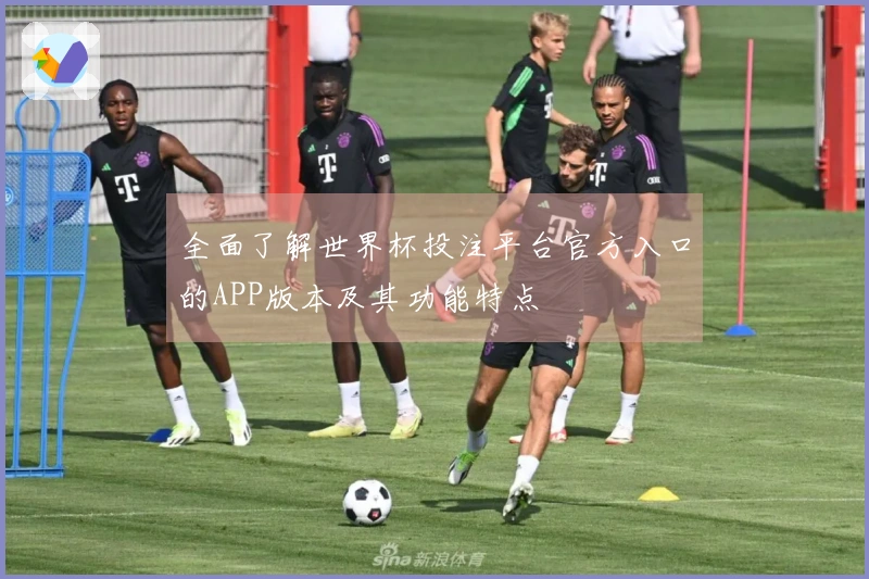 全面了解世界杯投注平台官方入口的APP版本及其功能特点