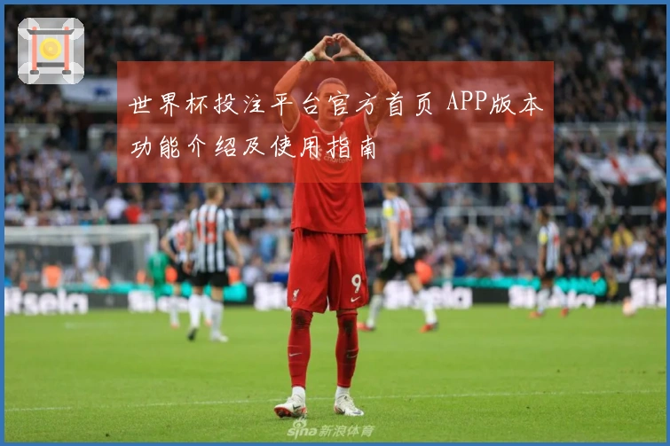 世界杯投注平台官方首页 APP版本功能介绍及使用指南