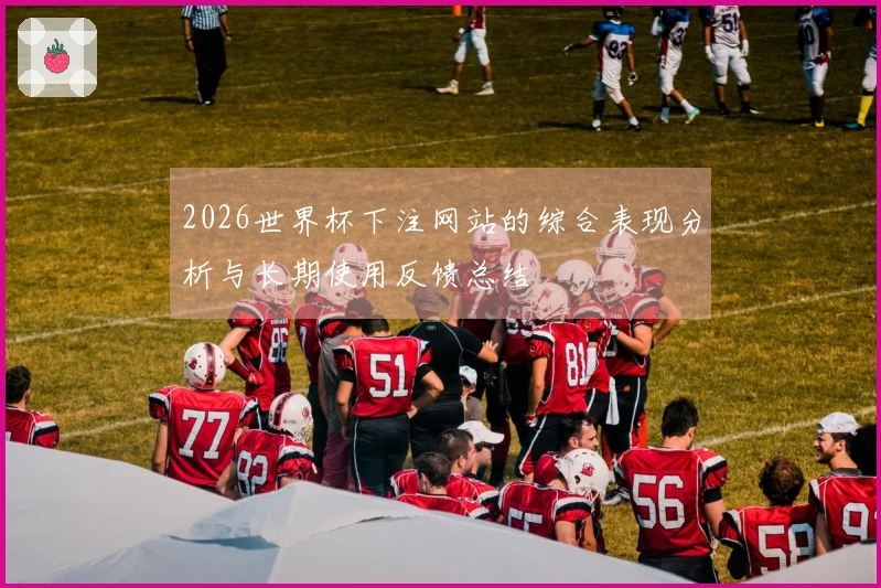 2026世界杯下注网站的综合表现分析与长期使用反馈总结