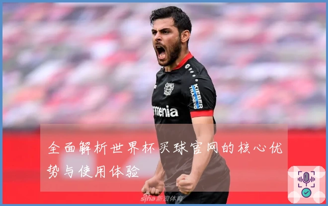 全面解析世界杯买球官网的核心优势与使用体验